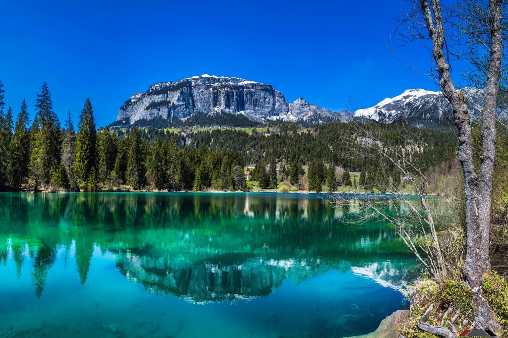Crestasee bei Flims